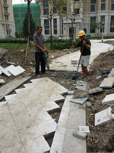 1491891666300838.jpg 2-1.jpg