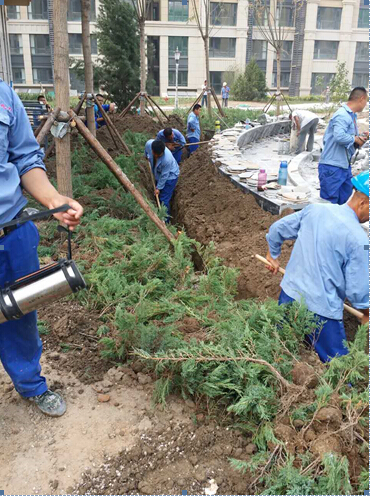 1491891805534633.jpg 3-1.jpg