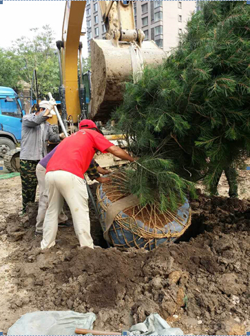 1491891814549780.jpg 3-2.jpg