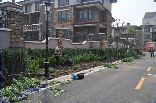 1491891822788204.jpg 3-3.jpg